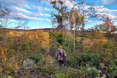 maine-moose-hunting-north-woods-chandler-lake-sporting-camps-2021d